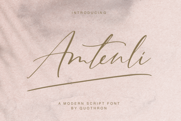 Amtenli Script: Elegant Font for Web Design