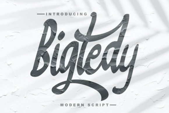 Bigtedy Script: A Timeless Font for Business