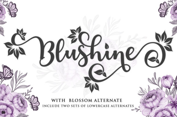 Blushine Script: A Classy Handwritten Font