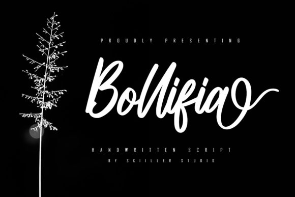 Bollifia Script: Elegant Handwritten Font