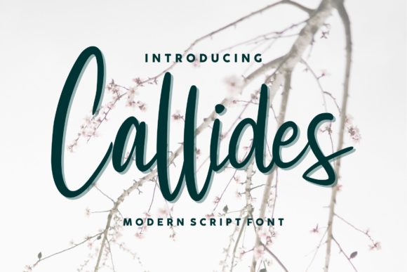 Callides Script: A Designer's Take