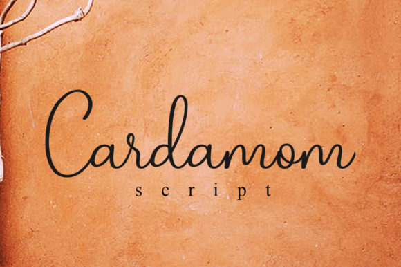 Cardamom Script Font Review