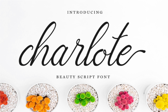 Charlote Script: A Font for Polished Branding