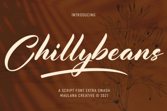 Chillybeans Script: Elegant Font for Campaigns