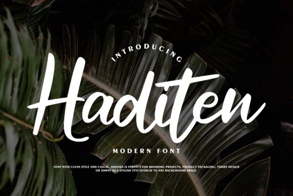 Haditen Script: A Stylish Font for Makers
